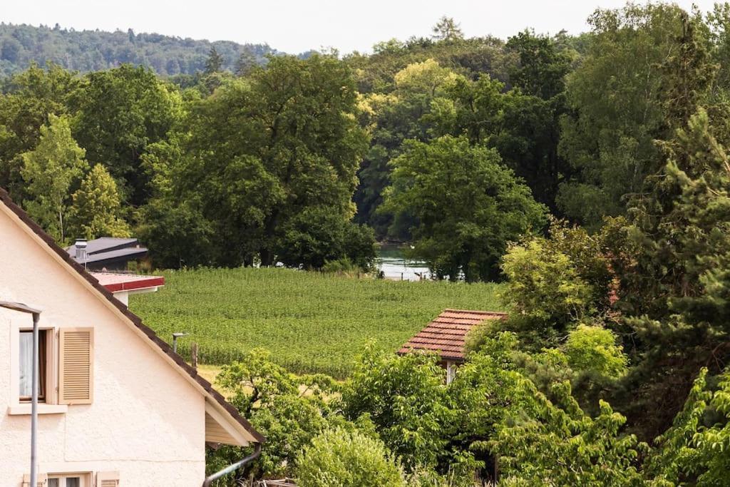Luxury Apartment On The Rhein Busingen am Hochrhein Extérieur photo