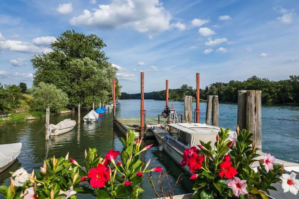 Luxury Apartment On The Rhein Busingen am Hochrhein Extérieur photo