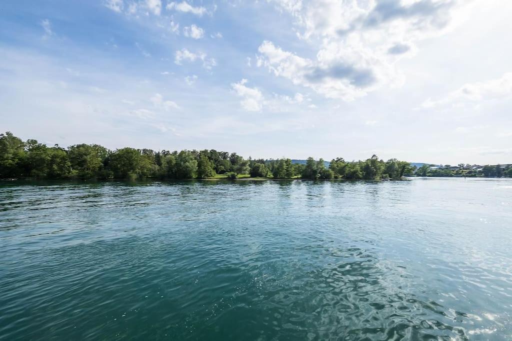Luxury Apartment On The Rhein Busingen am Hochrhein Extérieur photo
