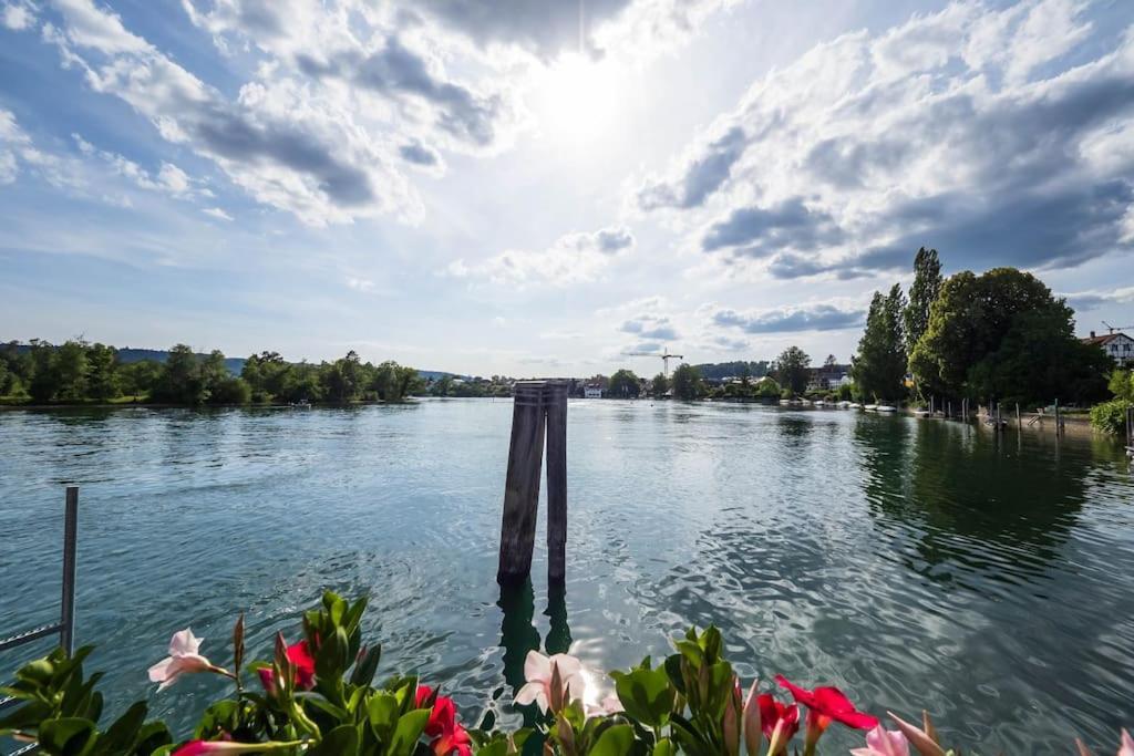Luxury Apartment On The Rhein Busingen am Hochrhein Extérieur photo