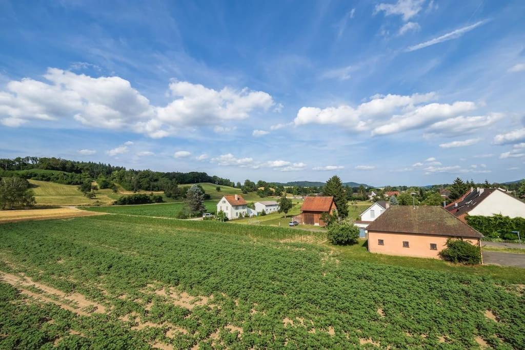 Luxury Apartment On The Rhein Busingen am Hochrhein Extérieur photo